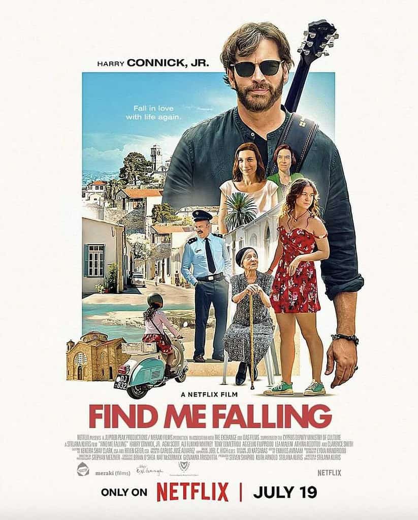 The find me falling poster