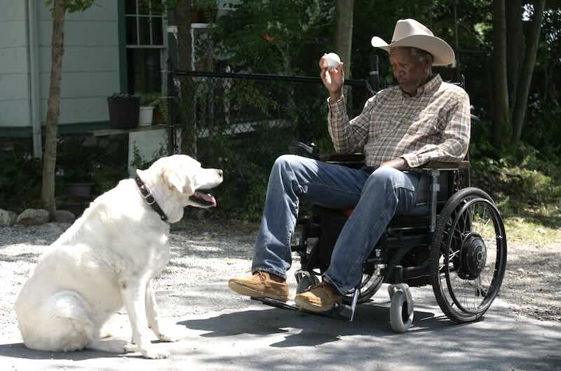 Morgan Freeman in The Magic of Belle Isle 
